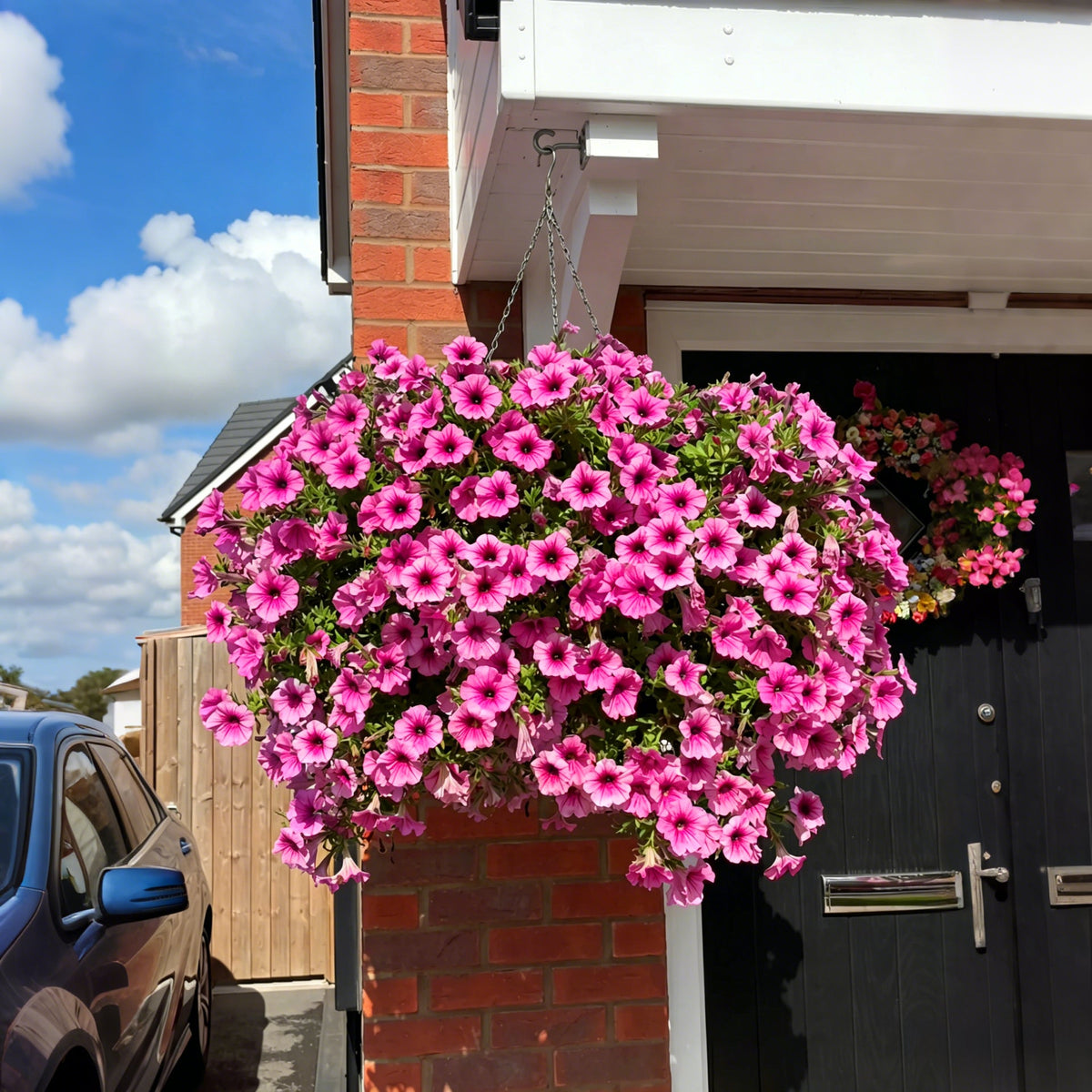 🌹Last Day 60% OFF🔥UV Resistant Artificial Petunias Flowers