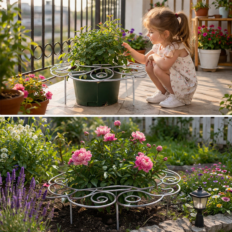🌸 Plant Support – Because Beautiful Flowers Need Quiet Support